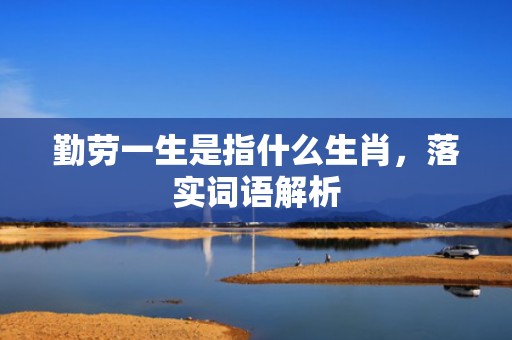 勤劳一生是指什么生肖，落实词语解析
