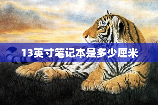 13英寸笔记本是多少厘米