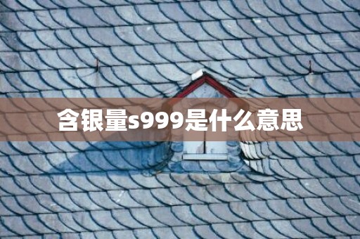 含银量s999是什么意思