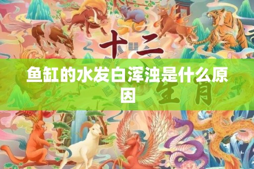 鱼缸的水发白浑浊是什么原因