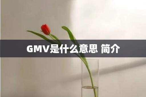 GMV是什么意思 简介