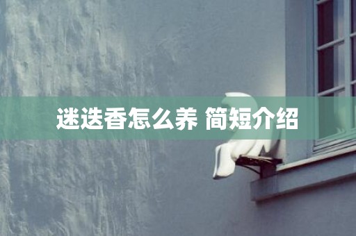迷迭香怎么养 简短介绍