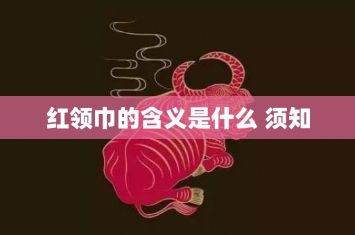 红领巾的含义是什么 须知