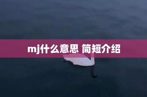 mj什么意思 简短介绍