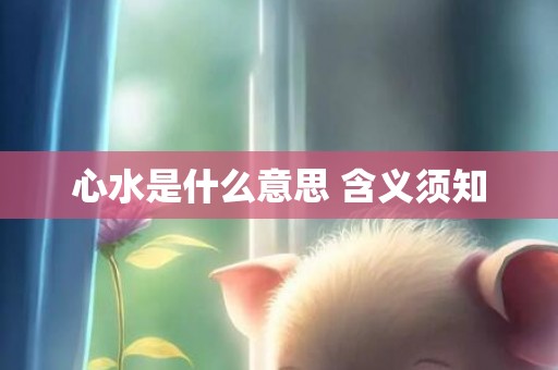 心水是什么意思 含义须知