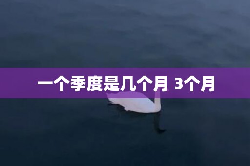 一个季度是几个月 3个月