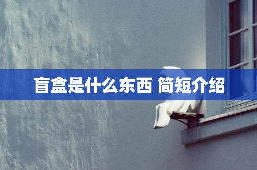 盲盒是什么东西 简短介绍