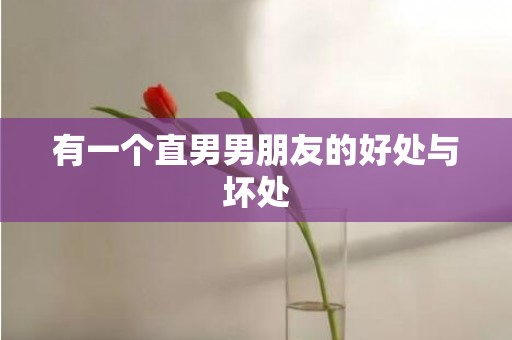 有一个直男男朋友的好处与坏处