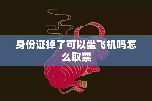身份证掉了可以坐飞机吗怎么取票