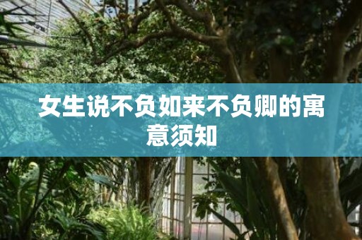 女生说不负如来不负卿的寓意须知