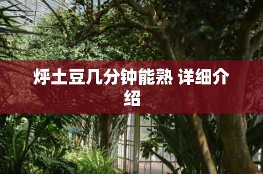 烀土豆几分钟能熟 详细介绍