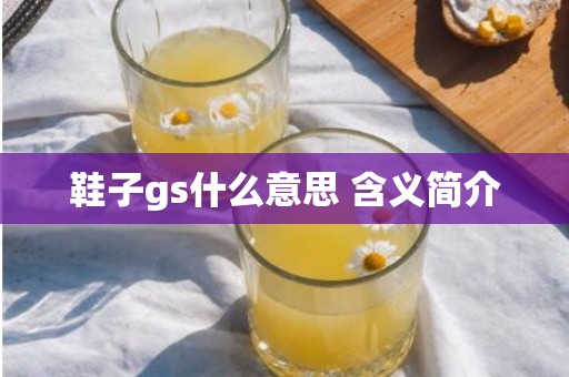 鞋子gs什么意思 含义简介