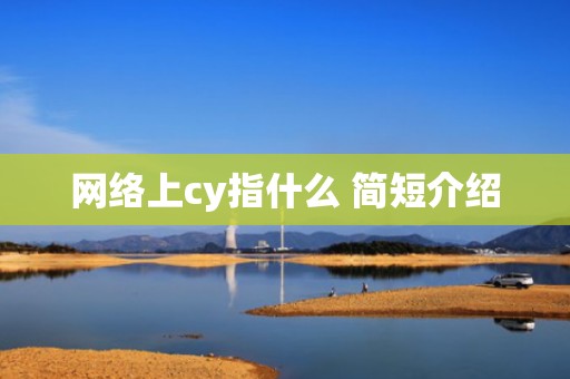 网络上cy指什么 简短介绍
