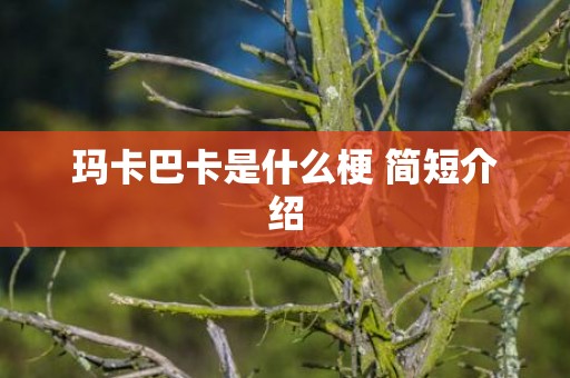 玛卡巴卡是什么梗 简短介绍