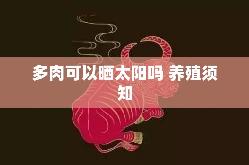 多肉可以晒太阳吗 养殖须知