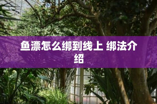 鱼漂怎么绑到线上 绑法介绍