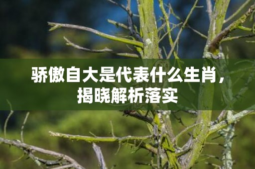 骄傲自大是代表什么生肖，揭晓解析落实