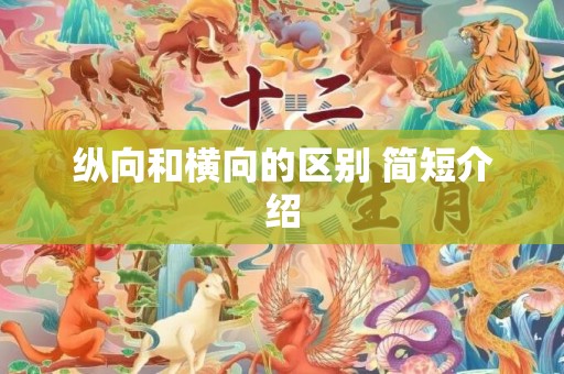 纵向和横向的区别 简短介绍