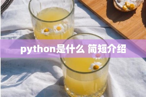 python是什么 简短介绍