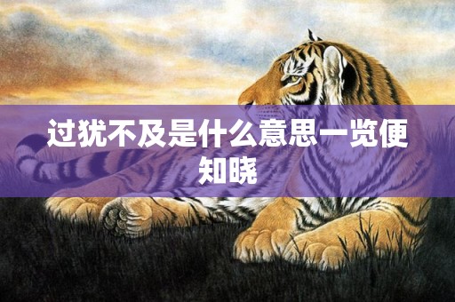 过犹不及是什么意思一览便知晓