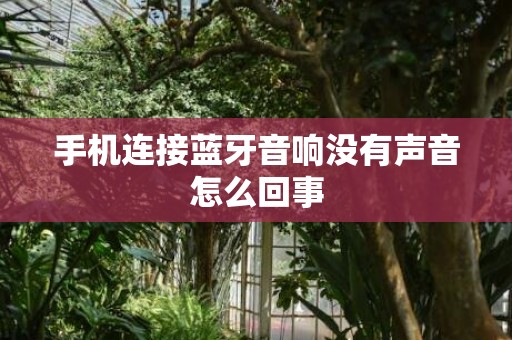 手机连接蓝牙音响没有声音怎么回事