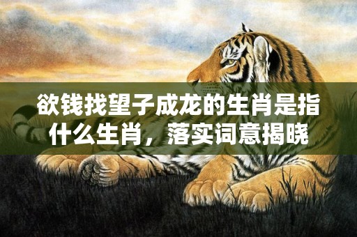 欲钱找望子成龙的生肖是指什么生肖，落实词意揭晓