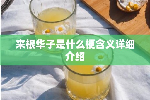 来根华子是什么梗含义详细介绍