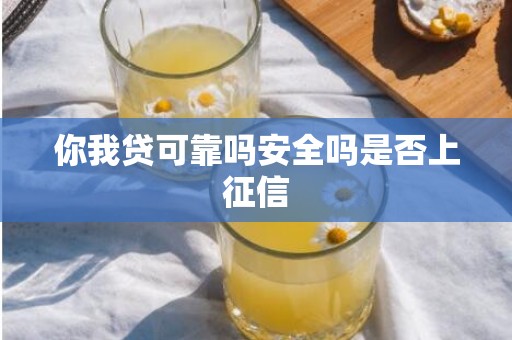 你我贷可靠吗安全吗是否上征信