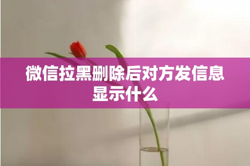 微信拉黑删除后对方发信息显示什么