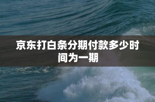 京东打白条分期付款多少时间为一期