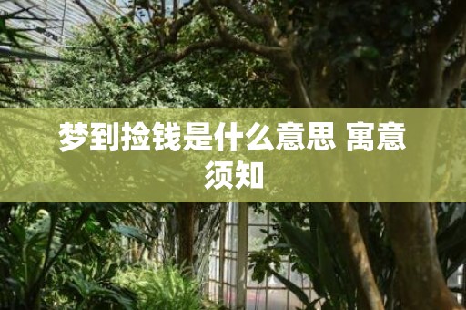 梦到捡钱是什么意思 寓意须知