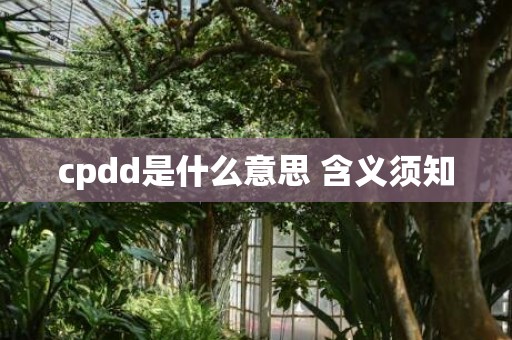 cpdd是什么意思 含义须知