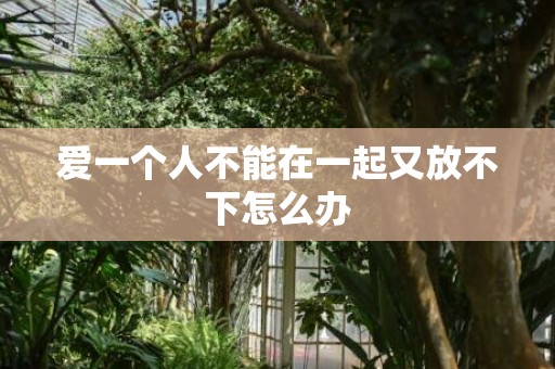 爱一个人不能在一起又放不下怎么办