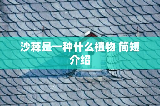 沙棘是一种什么植物 简短介绍