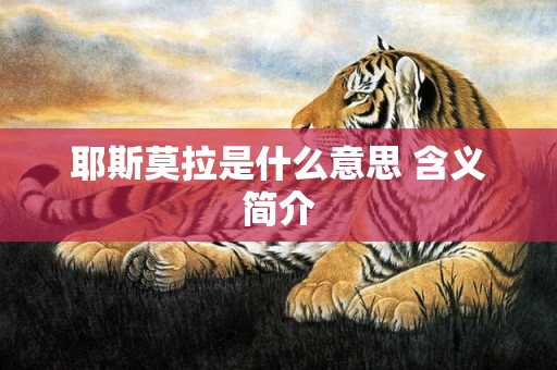 耶斯莫拉是什么意思 含义简介