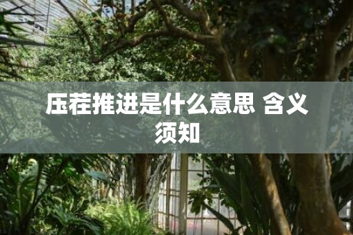 压茬推进是什么意思 含义须知