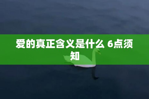 爱的真正含义是什么 6点须知