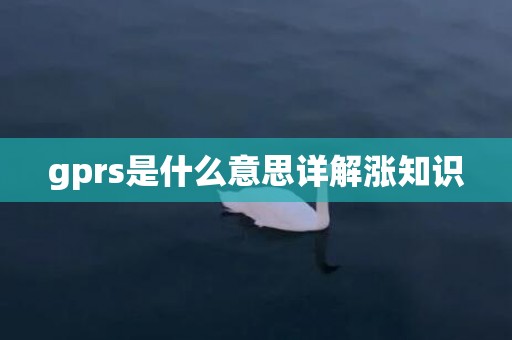gprs是什么意思详解涨知识