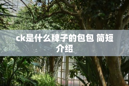 ck是什么牌子的包包 简短介绍