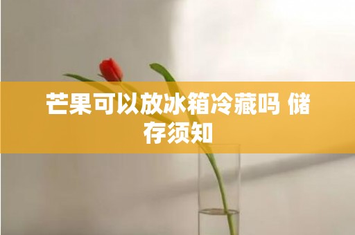 芒果可以放冰箱冷藏吗 储存须知