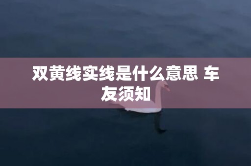 双黄线实线是什么意思 车友须知