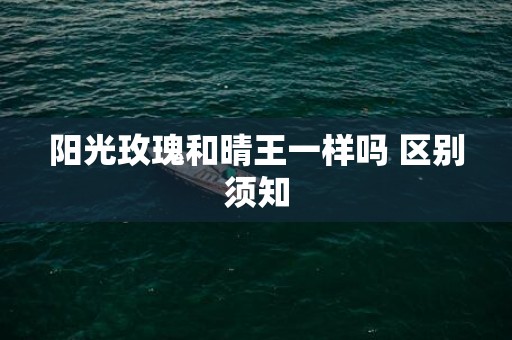 阳光玫瑰和晴王一样吗 区别须知