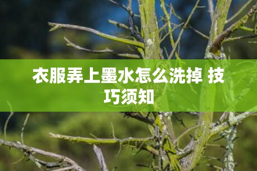衣服弄上墨水怎么洗掉 技巧须知