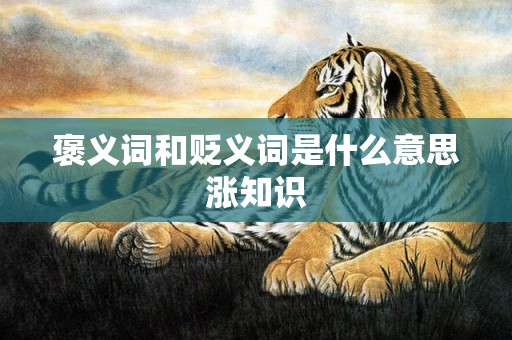 褒义词和贬义词是什么意思涨知识