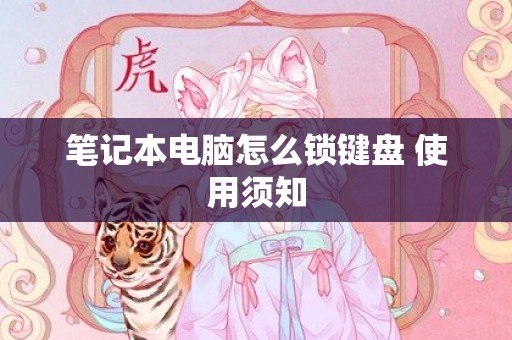 笔记本电脑怎么锁键盘 使用须知