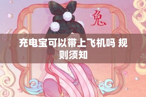 充电宝可以带上飞机吗 规则须知