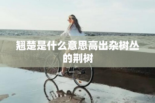 翘楚是什么意思高出杂树丛的荆树