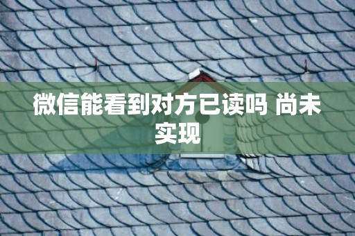 微信能看到对方已读吗 尚未实现