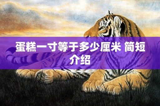 蛋糕一寸等于多少厘米 简短介绍
