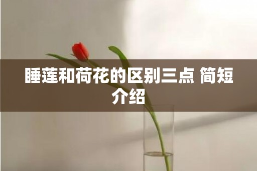 睡莲和荷花的区别三点 简短介绍